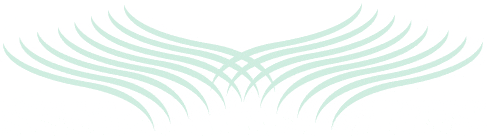 BodSpir Logo